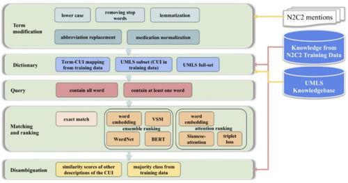 自然语言处理技术在医学人工智能领域的应用与软件开发